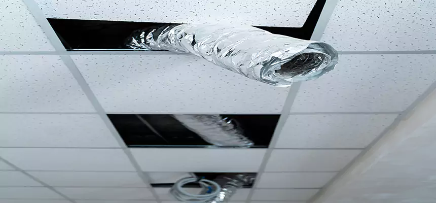 Our Air Duct Pet Hair Removal Services in Midlothian, TX