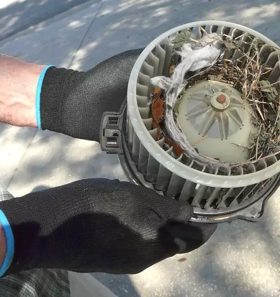 About Air Duct Mice Removal in Midlothian, TX