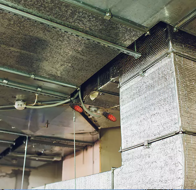 Why Homeowners & Businesses Trust Us in Midlothian, TX?