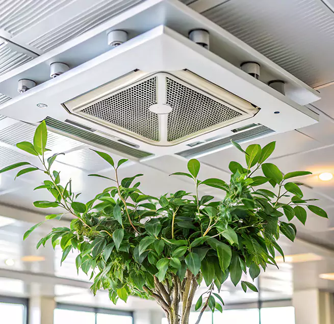 Why Homeowners & Businesses Trust Us in Midlothian, TX